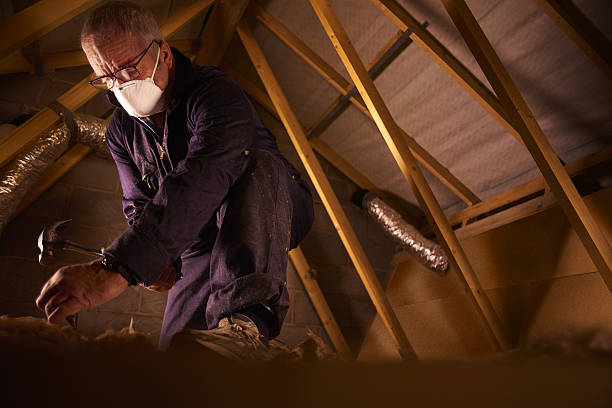  Steele Creek, AK Insulation Contractor Pros