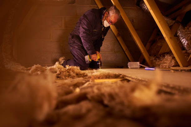 Best Insulation Installation Services in Steele Creek, AK